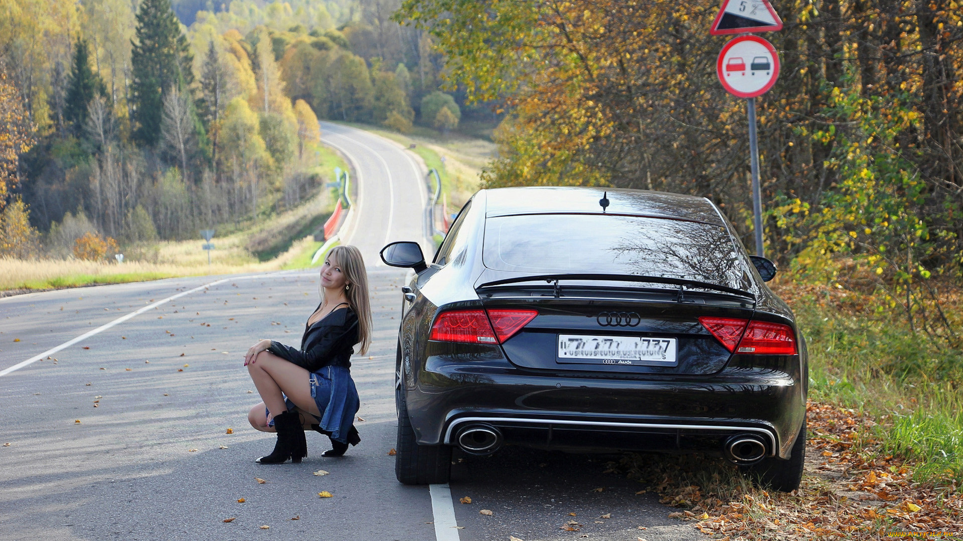 , -  , , , audi